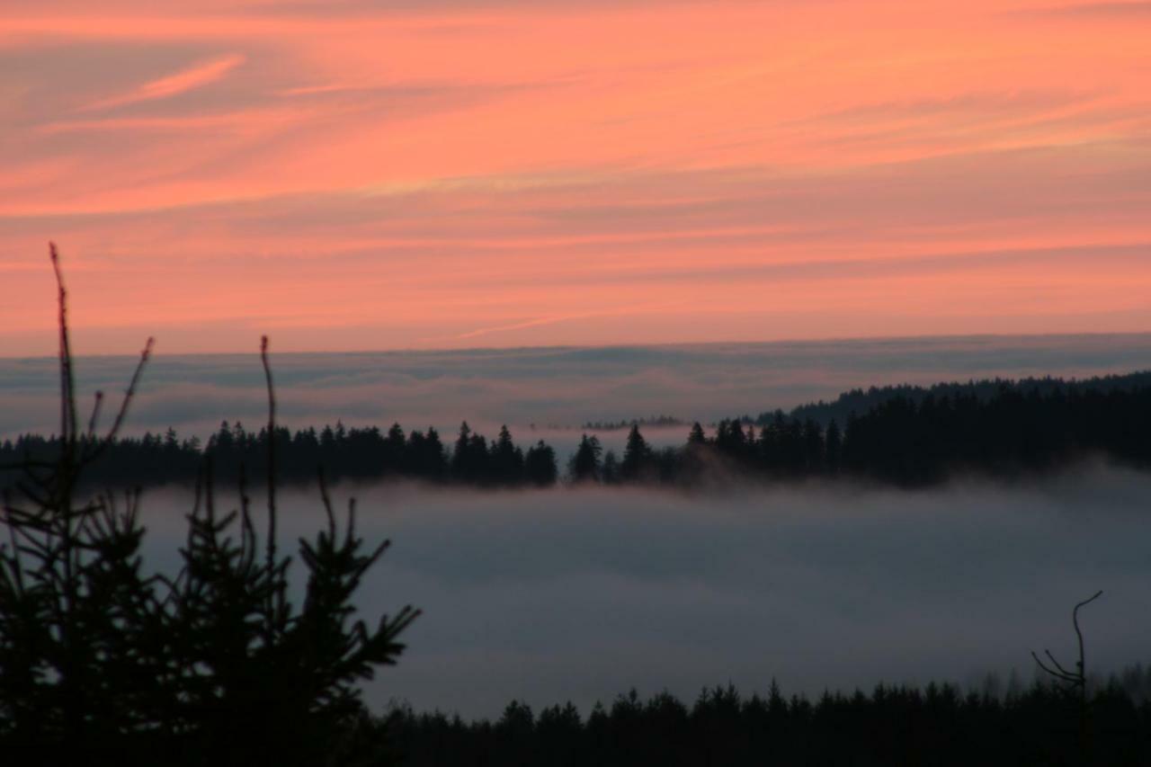 Landhaus Edelweiss Bed&Breakfast - Adults Only ノイシュタット・アム・レンシュタイク エクステリア 写真