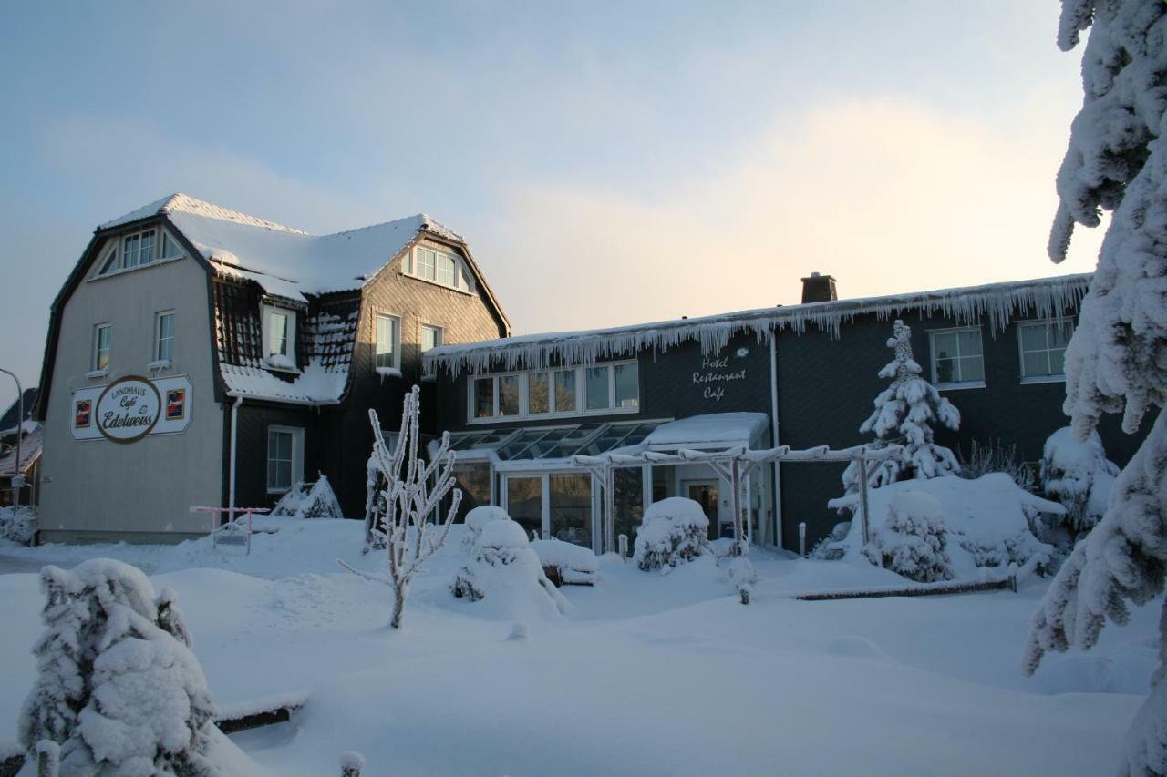 Landhaus Edelweiss Bed&Breakfast - Adults Only ノイシュタット・アム・レンシュタイク エクステリア 写真